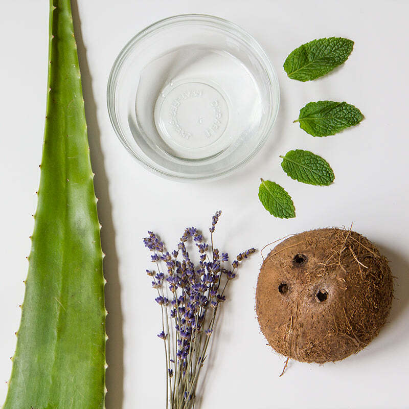 DIY Soothing (Non-Sticky) After Sun Aloe Spray – florapothecarie DIY Soothing (Non-Sticky) After Sun Aloe Spray – florapothecarie